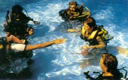 Dive at a pool